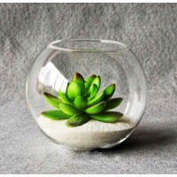 Кількість: Ваза-куля d-22 см h-19 см 5,5 л Mazhura Aquarium 006 MZ BR