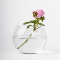 Кількість: Ваза-куля d-22 см h-19 см 5,5 л Mazhura Aquarium 006 MZ BR