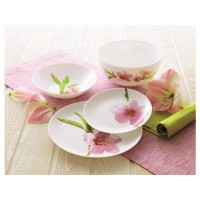 Сервіз Luminarc WATER COLOR 19 предметів