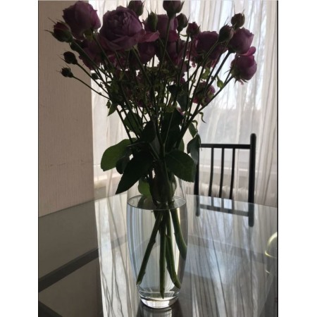 Ваза Флора h-26 см Pasabahce 43966-1 