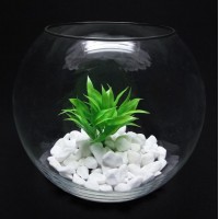 Ваза-акваріум Pasabahce Куля Botanica h-16 см 45068