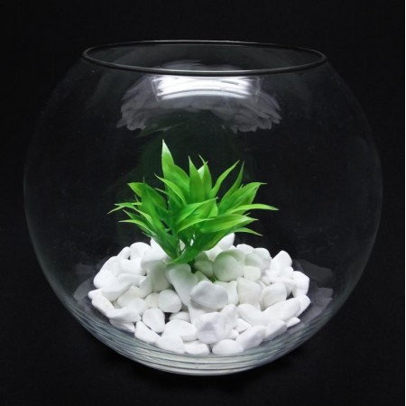 Ваза-акваріум Pasabahce Куля Botanica h-16 см 45068