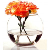 Ваза-акваріум Pasabahce Куля Botanica h-16 см 45068