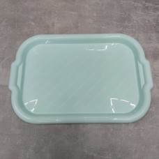 Піднос пластиковий Алеана прямокутний 45*30*4 м'ятний 168039