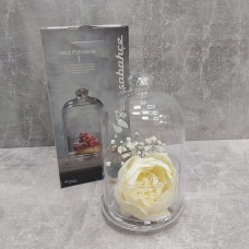 Ємність з кришкою (лимонниця, цукерниця) 505 мл Pasabahce Pattiserie 96889