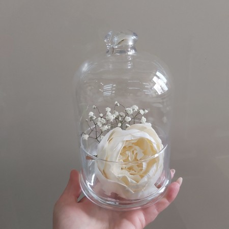 Ємність з кришкою (лимонниця, цукерниця) 505 мл Pasabahce Pattiserie 96889