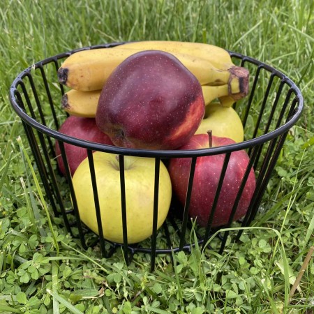 Корзина для фруктів "New"  23*14 см чорна 365987464/1011