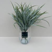 Ваза скляна для квітів h - 20 см Trendglass Lyra 35503