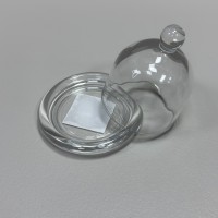 Лимонниця з кришкою скляна 9,5х9,5х9 см S&T 9904-1 прозора