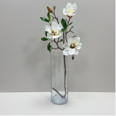 Ваза скляна h - 29 см, d - 10 см TRENDGLASS CYLINDER 35588 прозора