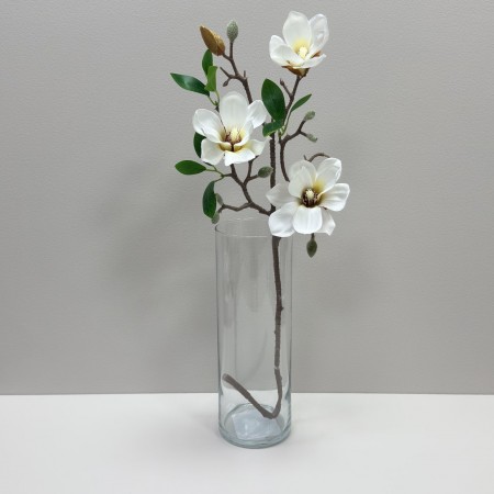 Ваза скляна h - 29 см, d - 10 см TRENDGLASS CYLINDER 35588 прозора