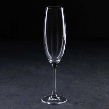 Набор бокалов Bohemia Colibri (Gastro) 220 мл для шампанского 6 шт (4S032 220 BOH) 